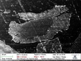 SEM images of the cross-section area of acid dissolved heat-treated serpentine (a magnesium silicate mineral) particles