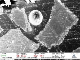 SEM images of the cross-section area of acid dissolved heat-treated serpentine (a magnesium silicate mineral) particles