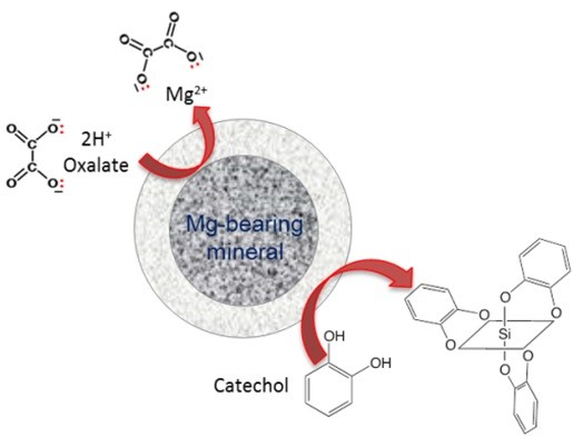 Enhanced extraction of Mg and Si from Mg-bearing silicate mineral particles by using chelating agents