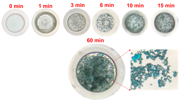 MOF Beads on a time scale