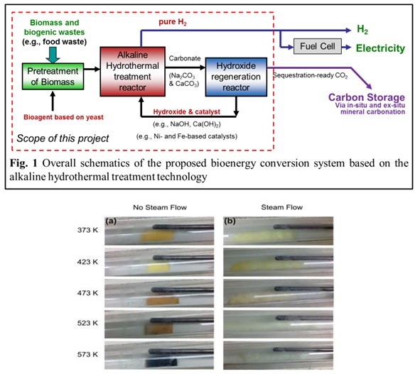 Biomass flow chart