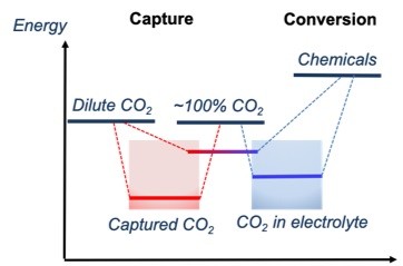 Dual function materials for CO2 capture and conversion using